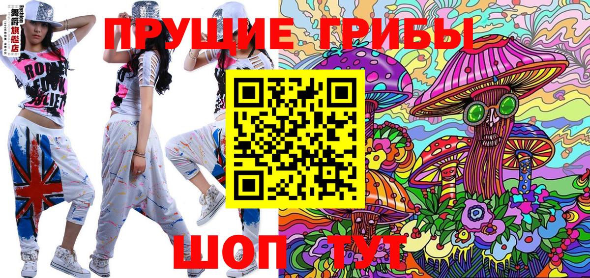 Псилоцибиновые грибы Psilocybine cubensis Ейск